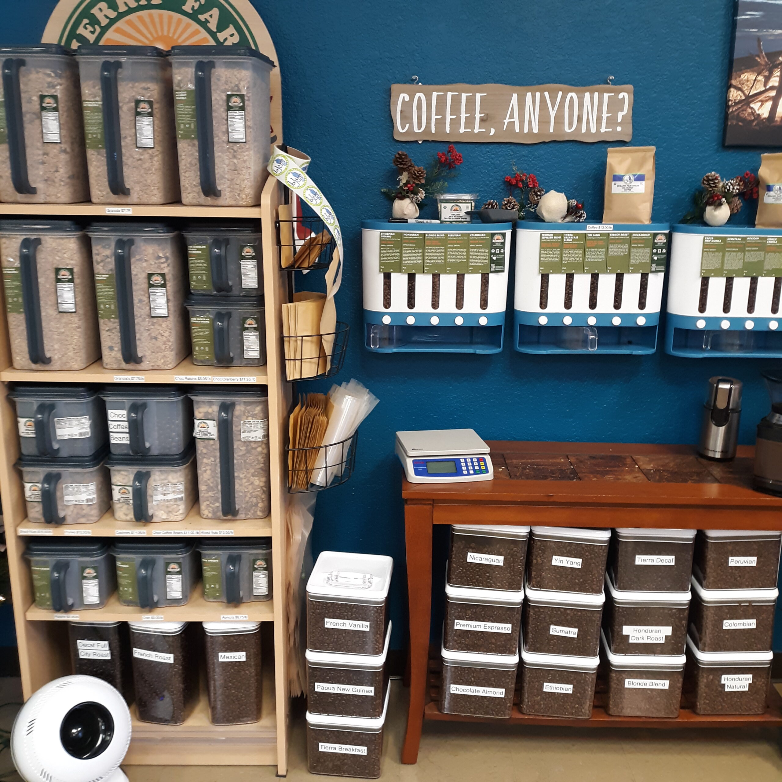 Organic coffee seeds and powder displayed in assorted boxes on a stand inside a room painted in soothing blue. A playful 'COFFEE, ANYONE?' sign hangs in the background, adding to the inviting ambiance